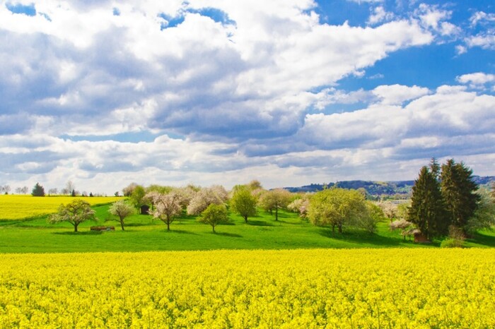 verantwortung-fotolia-63908137_386_3